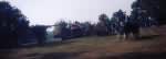 TH99TRF004.jpg 2.2K